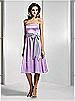 Dessy Bridesmaid Style 2506