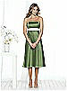 After Six Bridesmaid Style 6501