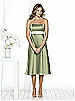 After Six Bridesmaid Style 6501