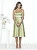After Six Bridesmaid Style 6501