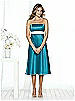 After Six Bridesmaid Style 6501