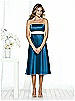 After Six Bridesmaid Style 6501