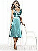 After Six Bridesmaid Style 6513