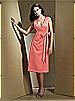 Dessy Bridesmaid Style 2716