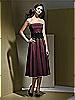 Dessy Bridesmaid Style 2717