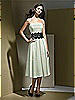 Dessy Bridesmaid Style 2717