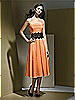 Dessy Bridesmaid Style 2717