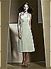 Dessy Bridesmaid Style 2727