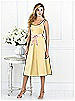 After Six Bridesmaid Style 6516