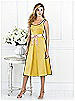 After Six Bridesmaid Style 6516