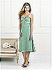 After Six Bridesmaid Style 6519