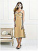 After Six Bridesmaid Style 6519