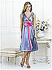 After Six Bridesmaid Style 6528