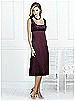 After Six Bridesmaid Style 6531