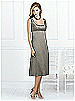 After Six Bridesmaid Style 6531