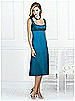 After Six Bridesmaid Style 6531