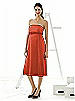 Alfred Sung Maternity Dress Style M415