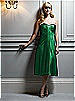 After Six Bridesmaid Style 6543