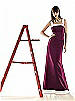 Alfred Sung Style D421