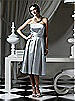 Dessy Bridesmaid Style 2764