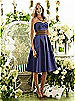 After Six Bridesmaid Style 6553
