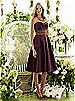 After Six Bridesmaid Style 6553