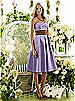 After Six Bridesmaid Style 6553