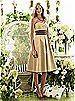 After Six Bridesmaid Style 6553