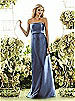 After Six Bridesmaid Style 6563