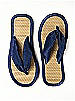 Iridescent Taffeta Flip Flops