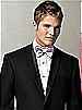 Iridescent Taffeta Bow Tie