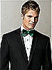 Taffeta Bow Tie