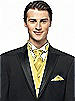 Iridescent Taffeta Cravat