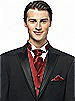 Iridescent Taffeta Cravat