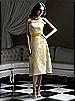 Dessy Bridesmaid Style 2752IV