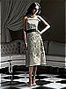 Dessy Bridesmaid Style 2752IV