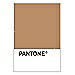 PANTONE WEDDING Swatch Cards