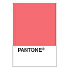 PANTONE WEDDING Swatch Cards