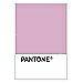 PANTONE WEDDING Swatch Cards