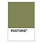 PANTONE WEDDING Swatch Cards