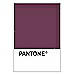PANTONE WEDDING Swatch Cards
