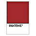 PANTONE WEDDING Swatch Cards