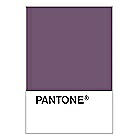 PANTONE WEDDING Swatch Cards