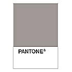 PANTONE WEDDING Swatch Cards