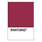 PANTONE WEDDING Swatch Cards