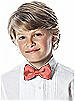 Boy's Clip Duchess Bow Tie
