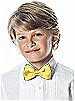 Boy's Clip Iridescent Taffeta Bow Tie