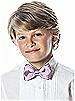 Boy's Clip Iridescent Taffeta Bow Tie