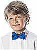 Boy's Clip Iridescent Taffeta Bow Tie