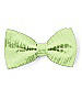 Boy's Clip Dupioni Bow Tie